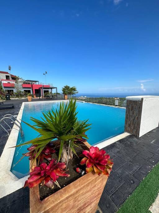 Casa Bella Vista @ Pyramid Point Βίλα Ότσο Ρίος Εξωτερικό φωτογραφία